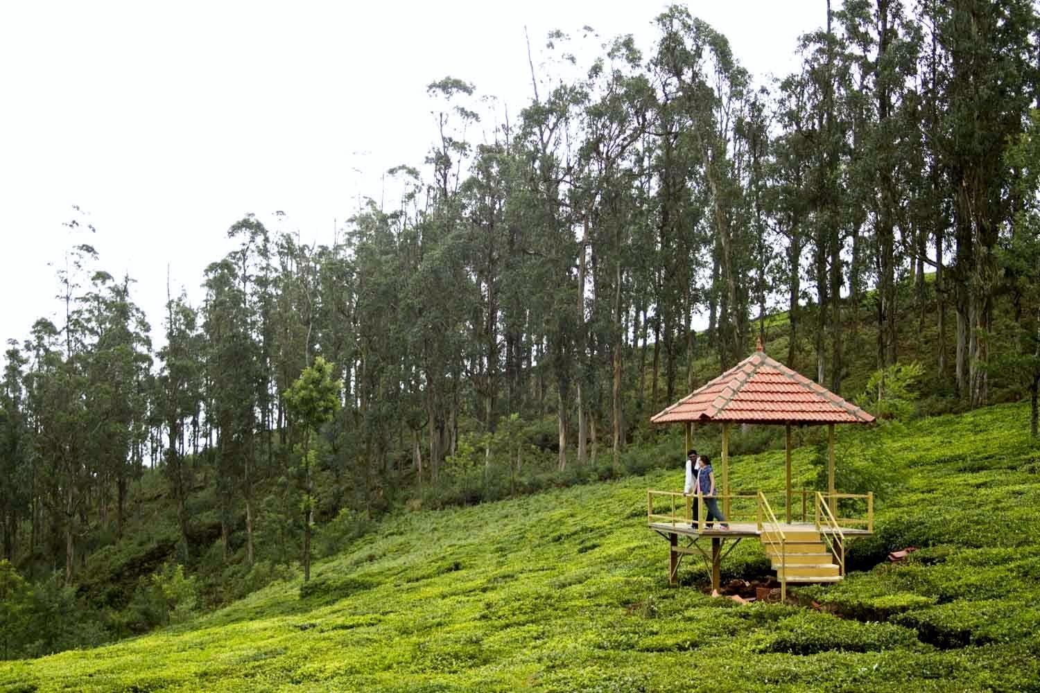 Green Nest Resort Ooty Kotagiri Luaran gambar