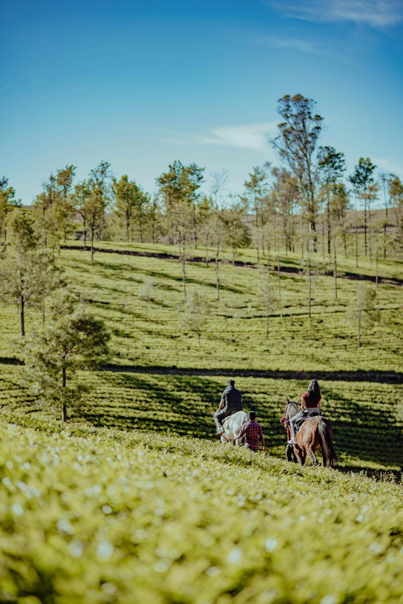 Green Nest Resort Ooty Kotagiri Luaran gambar