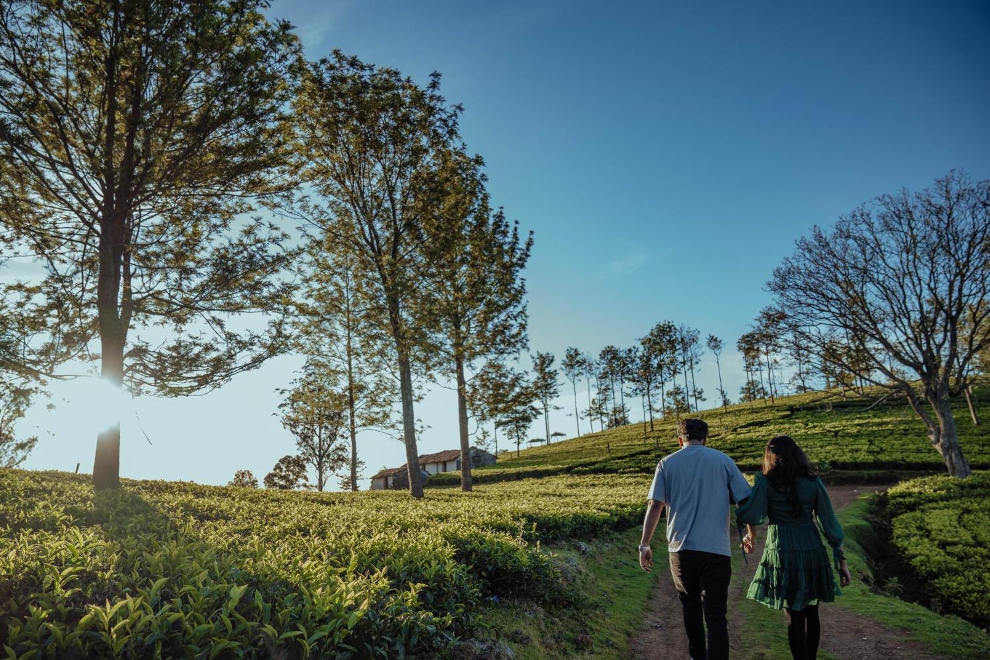 Green Nest Resort Ooty Kotagiri Luaran gambar