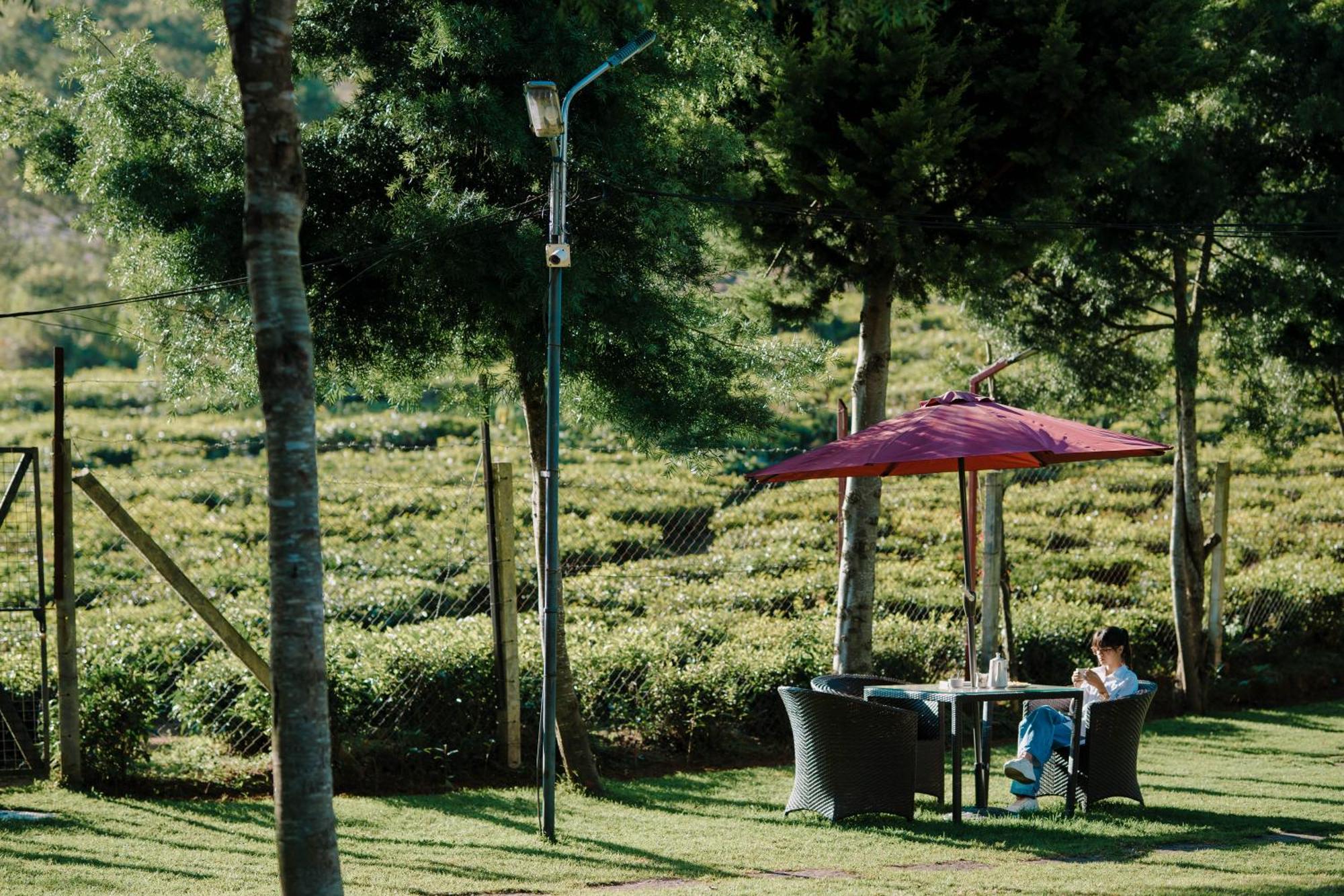 Green Nest Resort Ooty Kotagiri Luaran gambar